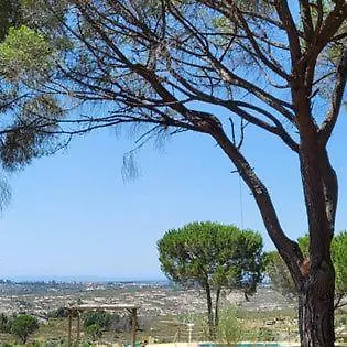 D'almeida * Travancinha